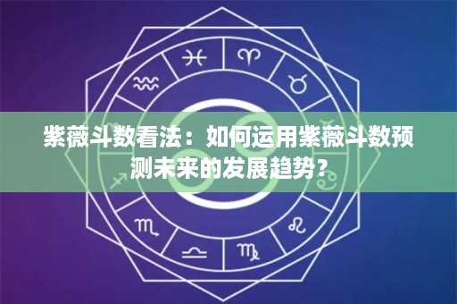 紫薇斗数看法：如何运用紫薇斗数预测未来的发展趋势？