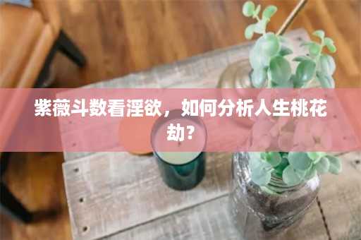 紫薇斗数看淫欲，如何分析人生桃花劫？