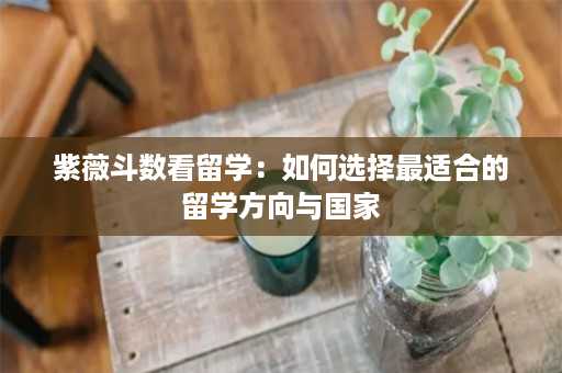 紫薇斗数看留学：如何选择最适合的留学方向与国家