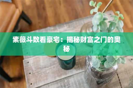 紫薇斗数看豪宅：揭秘财富之门的奥秘