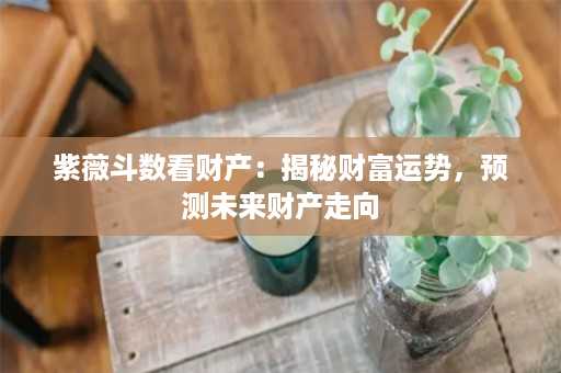 紫薇斗数看财产：揭秘财富运势，预测未来财产走向