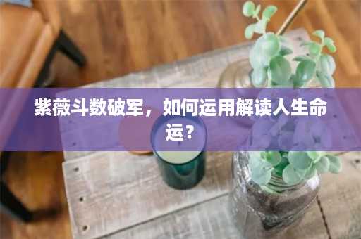 紫薇斗数破军，如何运用解读人生命运？