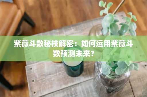 紫薇斗数秘技解密：如何运用紫薇斗数预测未来？