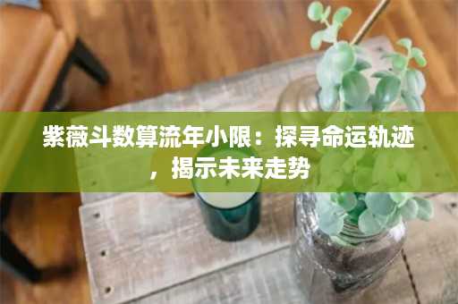 紫薇斗数算流年小限：探寻命运轨迹，揭示未来走势