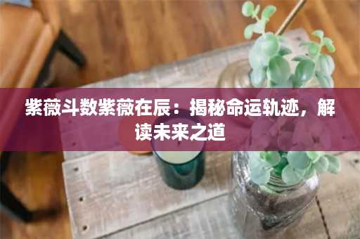 紫薇斗数紫薇在辰：揭秘命运轨迹，解读未来之道