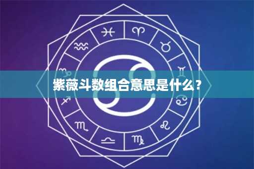 紫薇斗数组合意思是什么？