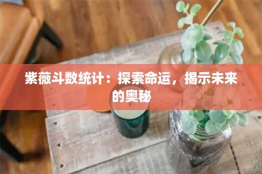 紫薇斗数统计：探索命运，揭示未来的奥秘