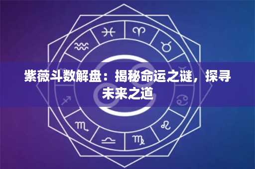 紫薇斗数解盘：揭秘命运之谜，探寻未来之道