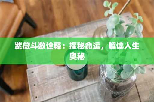 紫薇斗数诠释：探秘命运，解读人生奥秘