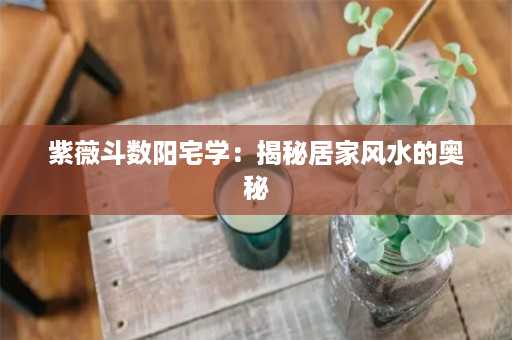 紫薇斗数阳宅学：揭秘居家风水的奥秘