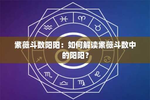 紫薇斗数阳阳：如何解读紫薇斗数中的阳阳？