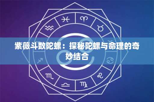 紫薇斗数陀螺：探秘陀螺与命理的奇妙结合