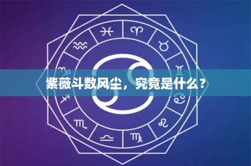 紫薇斗数风尘，究竟是什么？