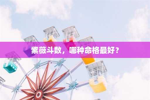 紫薇斗数，哪种命格最好？