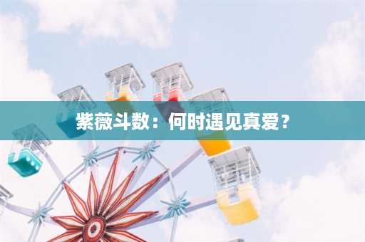 紫薇斗数：何时遇见真爱？