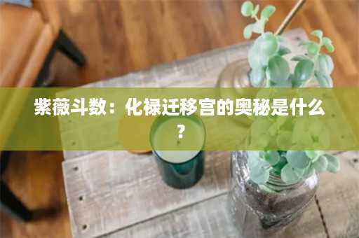 紫薇斗数：化禄迁移宫的奥秘是什么？