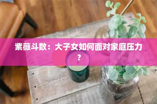 紫薇斗数：大子女如何面对家庭压力？