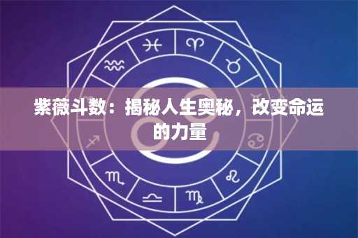 紫薇斗数：揭秘人生奥秘，改变命运的力量