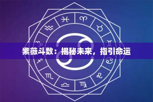 紫薇斗数：揭秘未来，指引命运