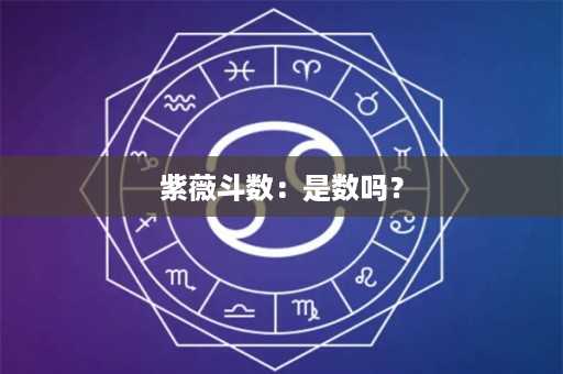 紫薇斗数：是数吗？