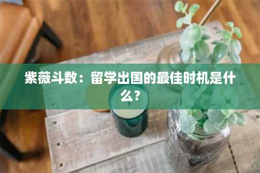 紫薇斗数：留学出国的最佳时机是什么？