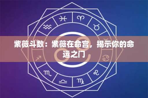 紫薇斗数：紫薇在命宫，揭示你的命运之门