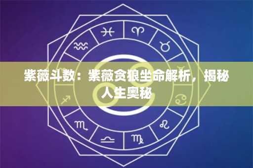 紫薇斗数：紫薇贪狼坐命解析，揭秘人生奥秘