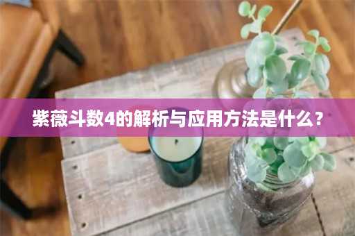 紫薇斗数4的解析与应用方法是什么？