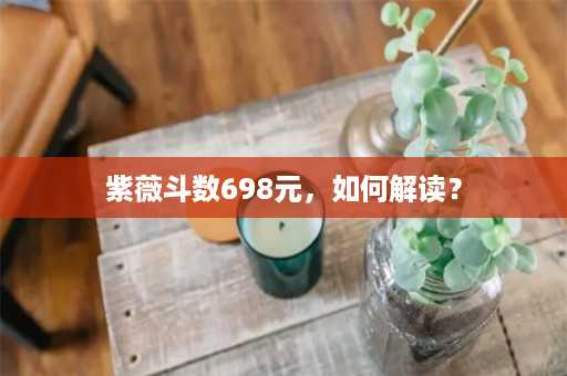 紫薇斗数698元，如何解读？