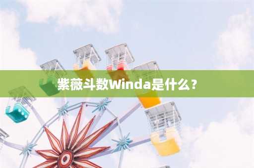 紫薇斗数Winda是什么？