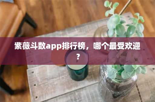 紫薇斗数app排行榜，哪个最受欢迎？