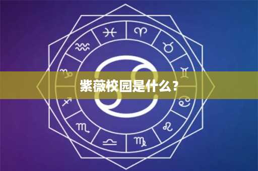 紫薇校园是什么？