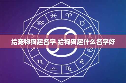 给宠物狗起名字 给狗狗起什么名字好