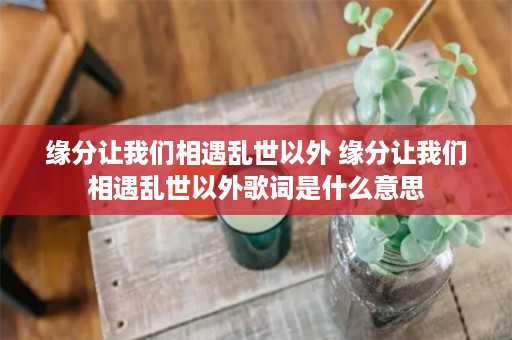 缘分让我们相遇乱世以外 缘分让我们相遇乱世以外歌词是什么意思