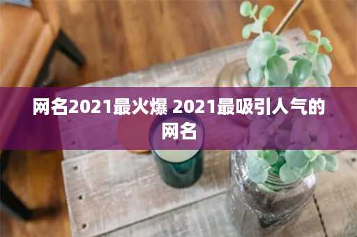 网名2021最火爆 2021最吸引人气的网名