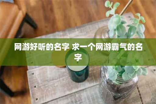 网游好听的名字 求一个网游霸气的名字