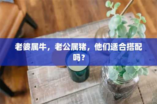 老婆属牛，老公属猪，他们适合搭配吗？