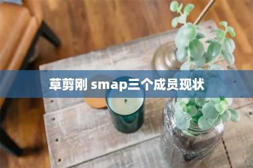 草剪刚 smap三个成员现状