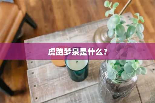 虎跑梦泉是什么？