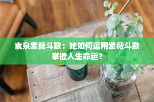 袁泉紫薇斗数：她如何运用紫薇斗数掌握人生命运？