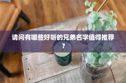 请问有哪些好听的兄弟名字值得推荐？