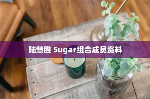 陆慧胜 Sugar组合成员资料