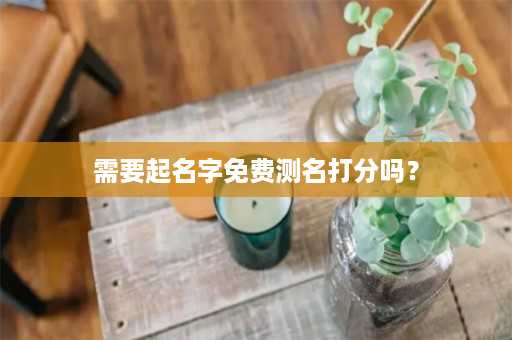 需要起名字免费测名打分吗？