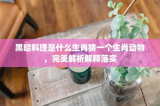 黑暗料理是什么生肖猜一个生肖动物，完美解析解释落实