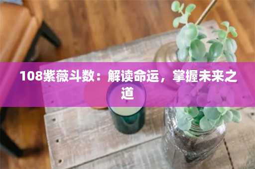 108紫薇斗数：解读命运，掌握未来之道