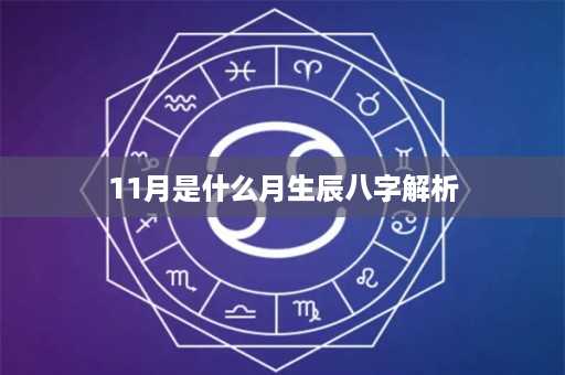 11月是什么月生辰八字解析