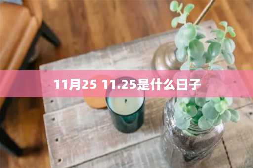 11月25 11.25是什么日子