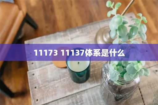 11173 11137体系是什么