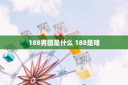 188男团是什么 188是啥