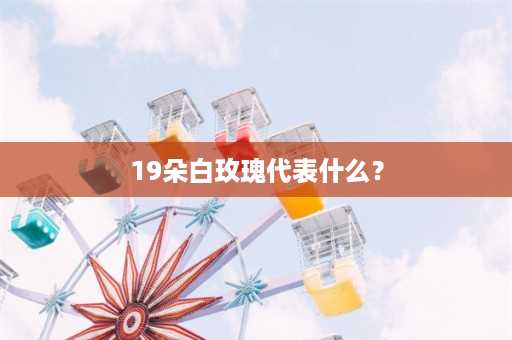 19朵白玫瑰代表什么？